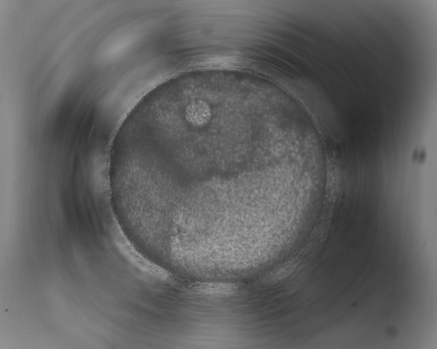 X0000108481090200904241254
