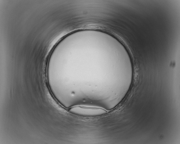 X0000108481091200904241254