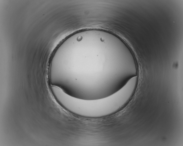 X0000108481093200904241254