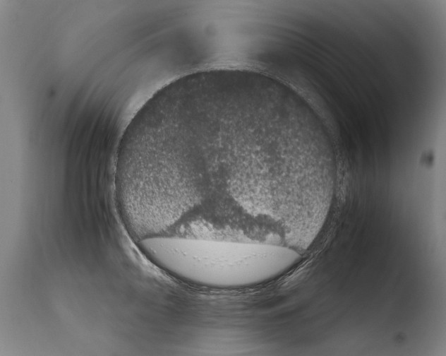 X0000108481094200904241254