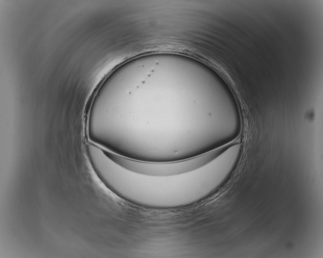 X0000108481095200904241254