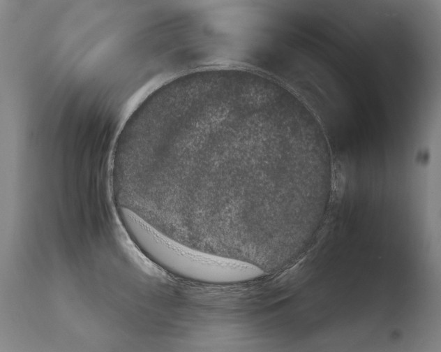 X0000108481098200904241254