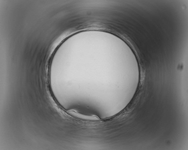X0000108481099200904241254