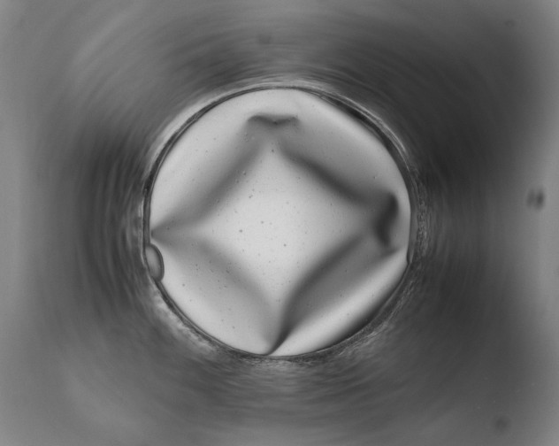 X0000108481100200904241254