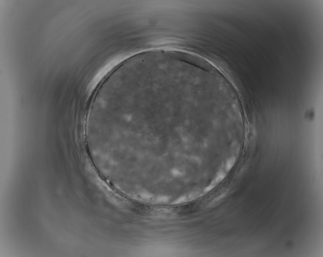 X0000108481101200904241254