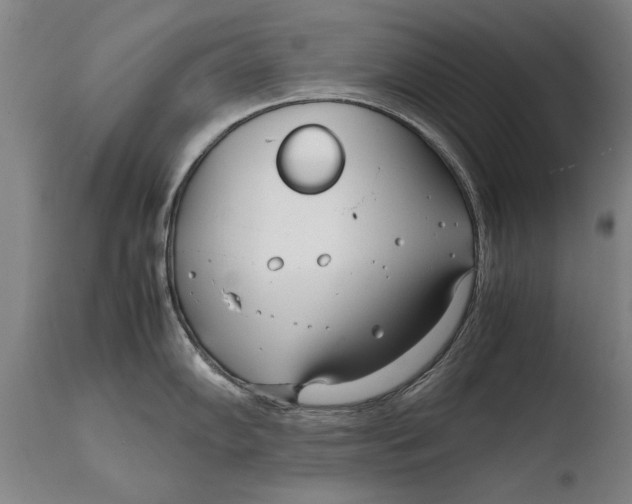X0000108481102200904241254