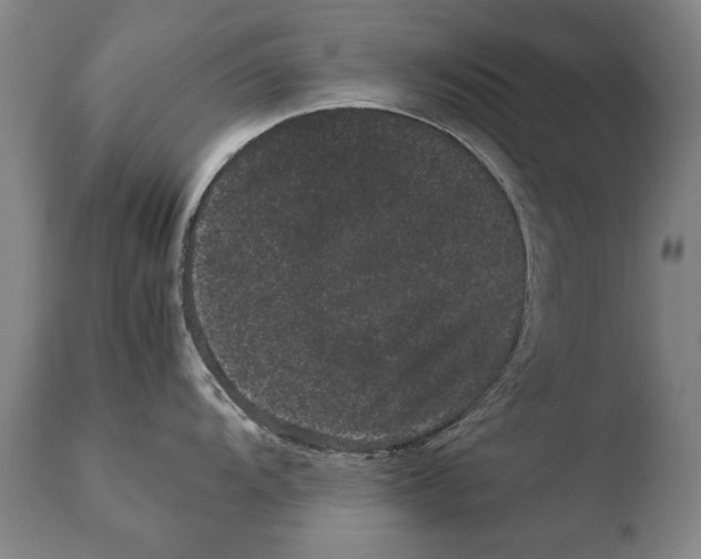 X0000108481104200904241254