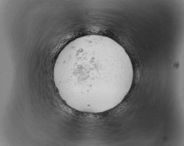X0000108481105200904241253