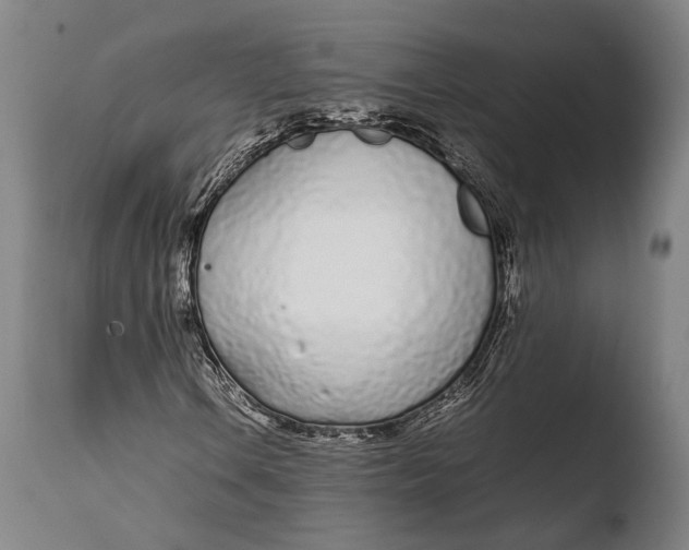 X0000108481106200904241253