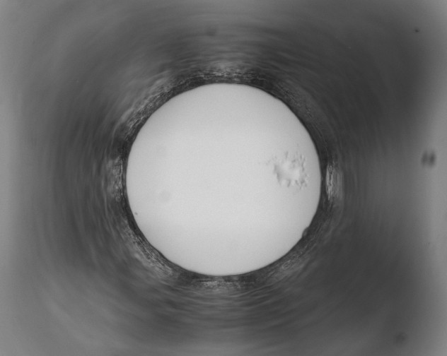X0000108481107200904241253