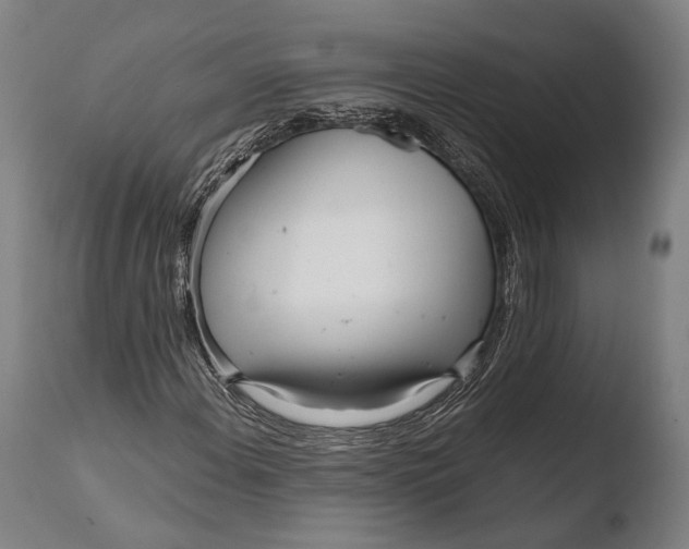 X0000108481108200904241253