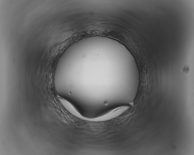 X0000108481109200904241253