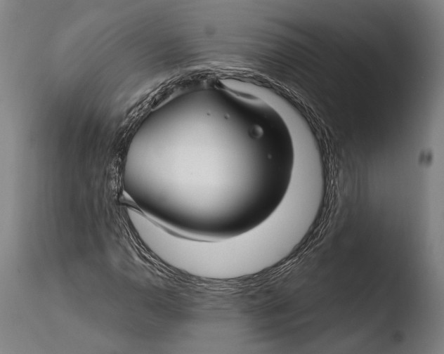 X0000108481110200904241253