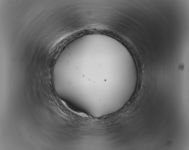 X0000108481112200904241253