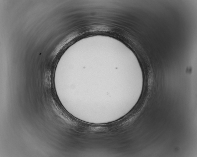 X0000108481113200904241253