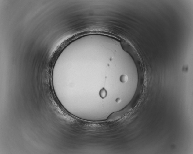 X0000108481115200904241253