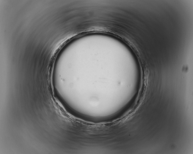 X0000108481117200904241253