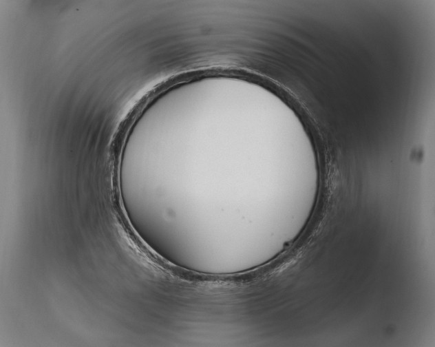 X0000108481118200904241253