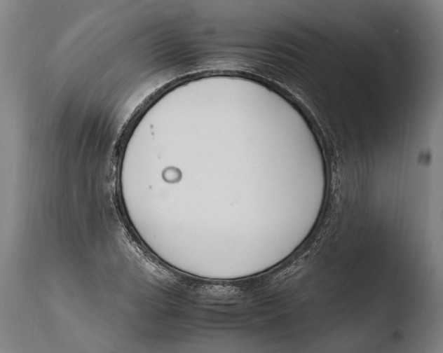 X0000108481119200904241253