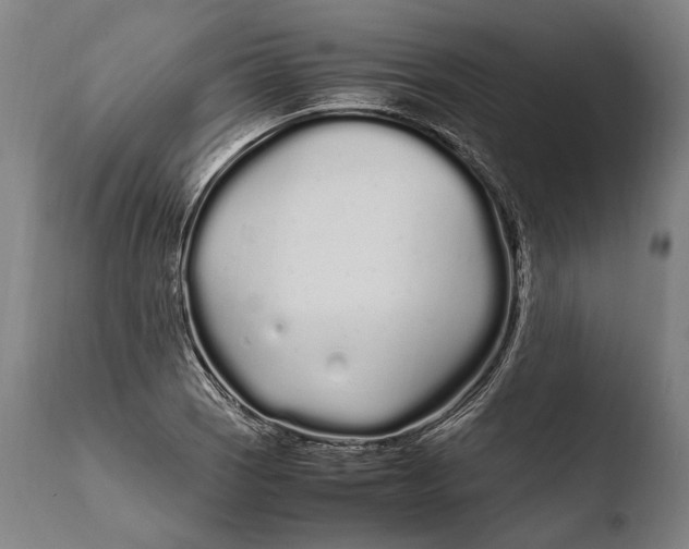 X0000108481121200904241253