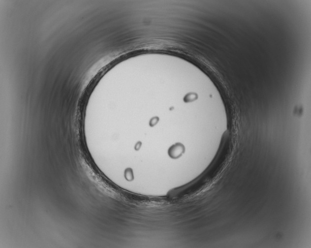 X0000108481122200904241253