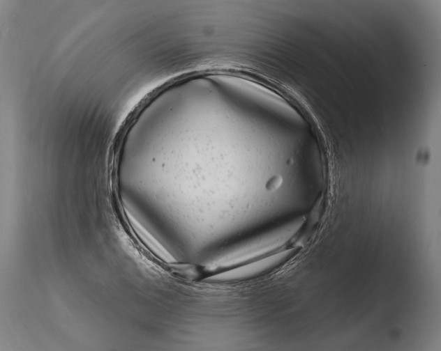 X0000108481124200904241253