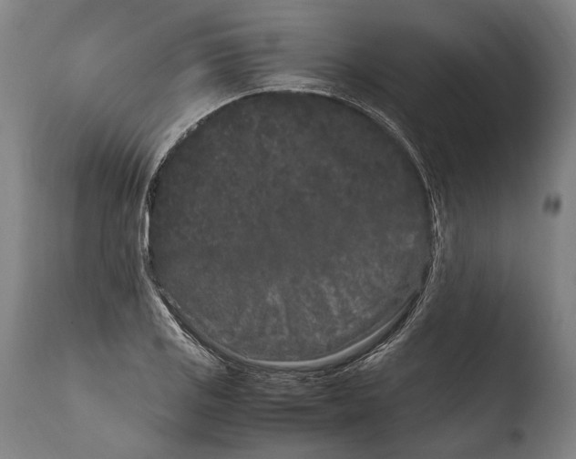 X0000108481125200904241253