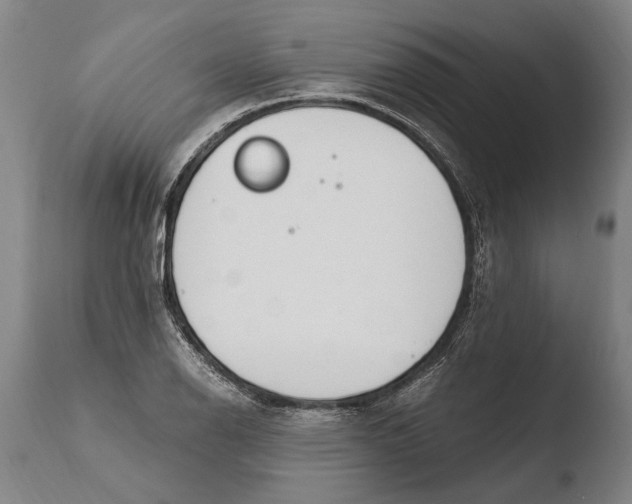 X0000108481126200904241253