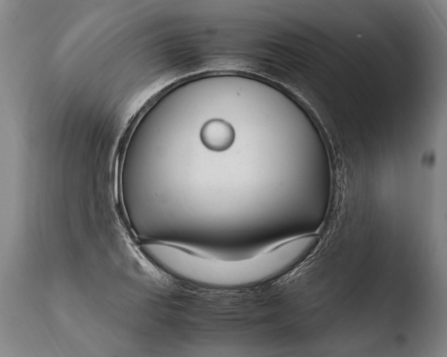 X0000108481127200904241253