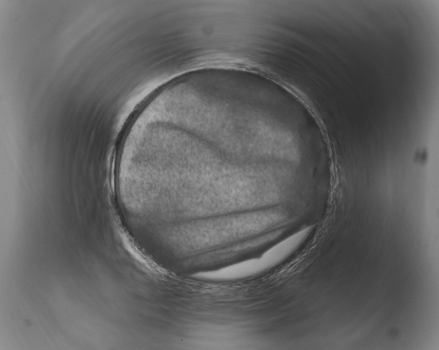 X0000108481128200904241253