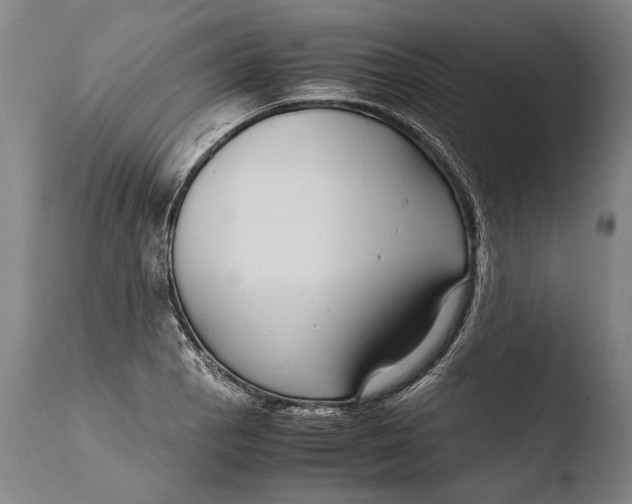 X0000108481129200904241253