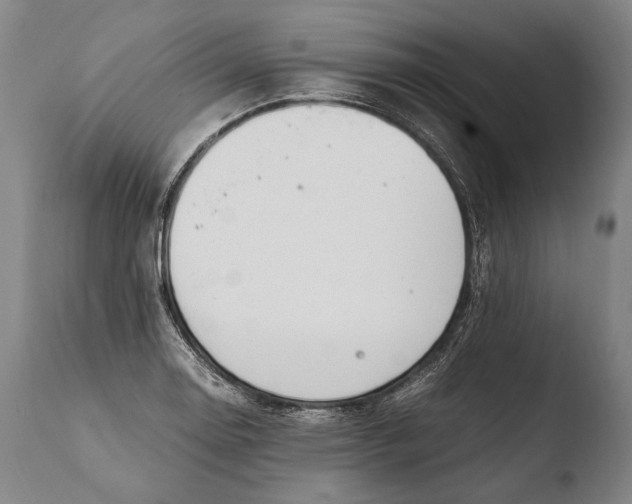 X0000108481130200904241253
