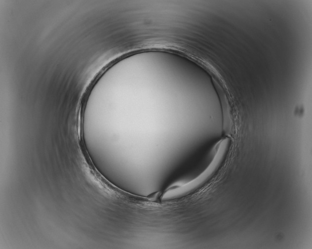X0000108481132200904241253