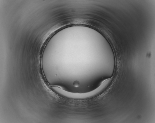 X0000108481133200904241253