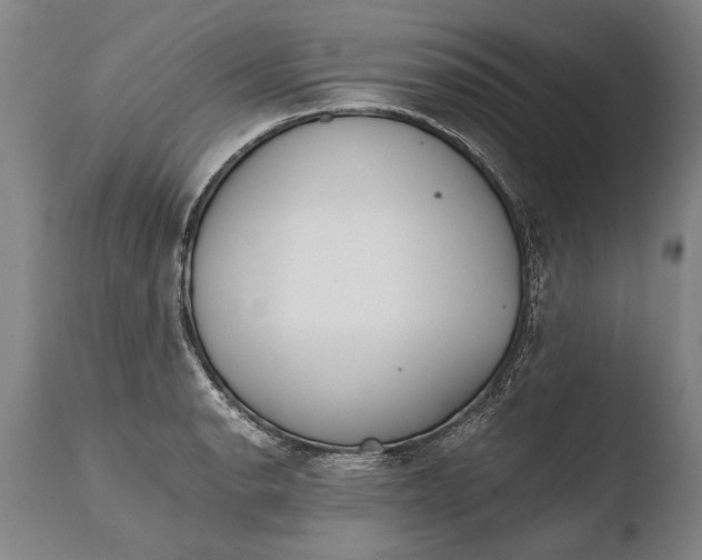 X0000108481134200904241253