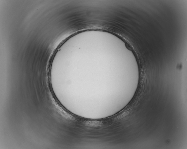 X0000108481135200904241253