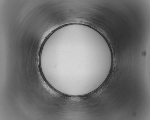 X0000108481136200904241253