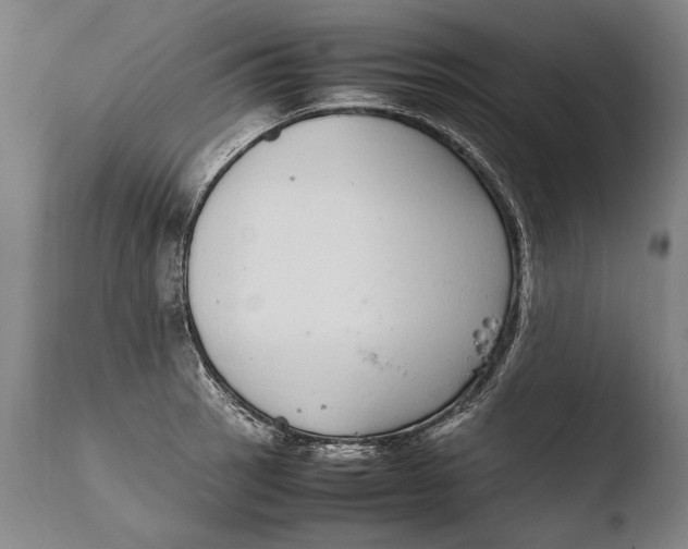 X0000108481137200904241253