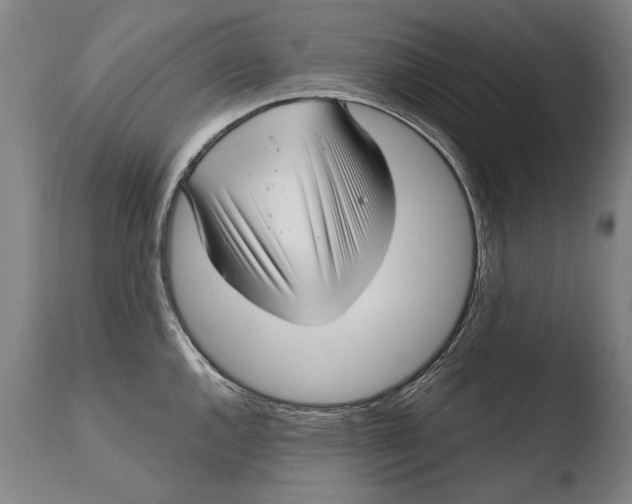 X0000108481144200904241254