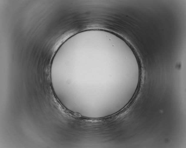 X0000108481145200904241254