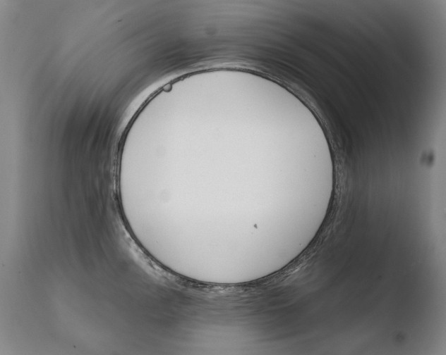 X0000108481148200904241254