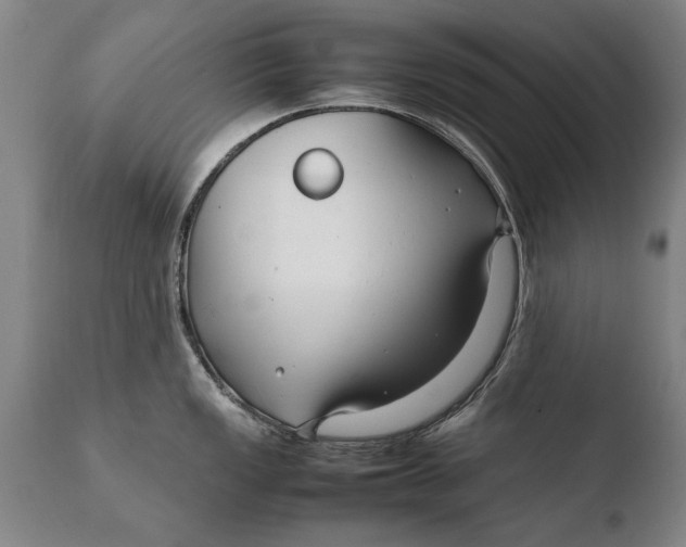 X0000108481149200904241254