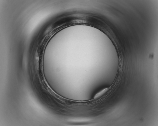 X0000108481151200904241254