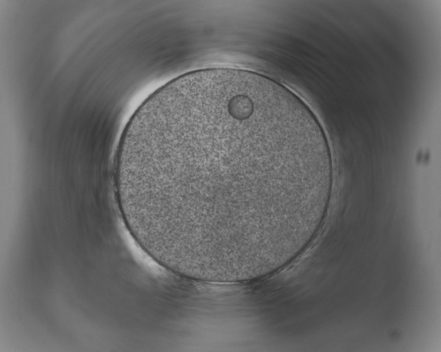 X0000108481152200904241254
