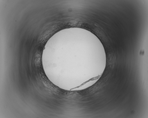 X0000108481154200904241253