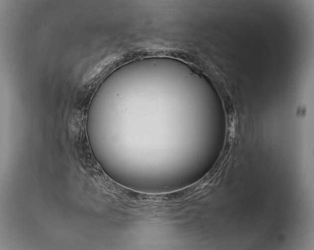 X0000108481157200904241253