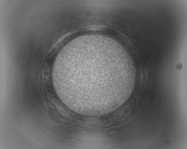 X0000108481158200904241253