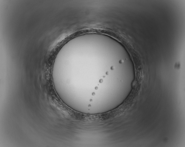 X0000108481159200904241253