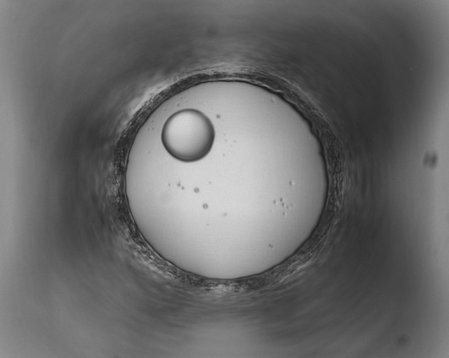 X0000108481160200904241253