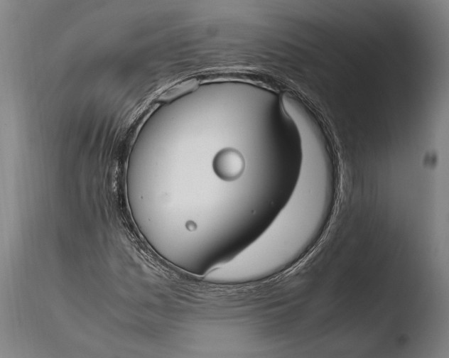 X0000108481161200904241253